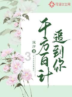 深化鲁豫合作,推进毗邻区域生态保护和高质量发展新样板